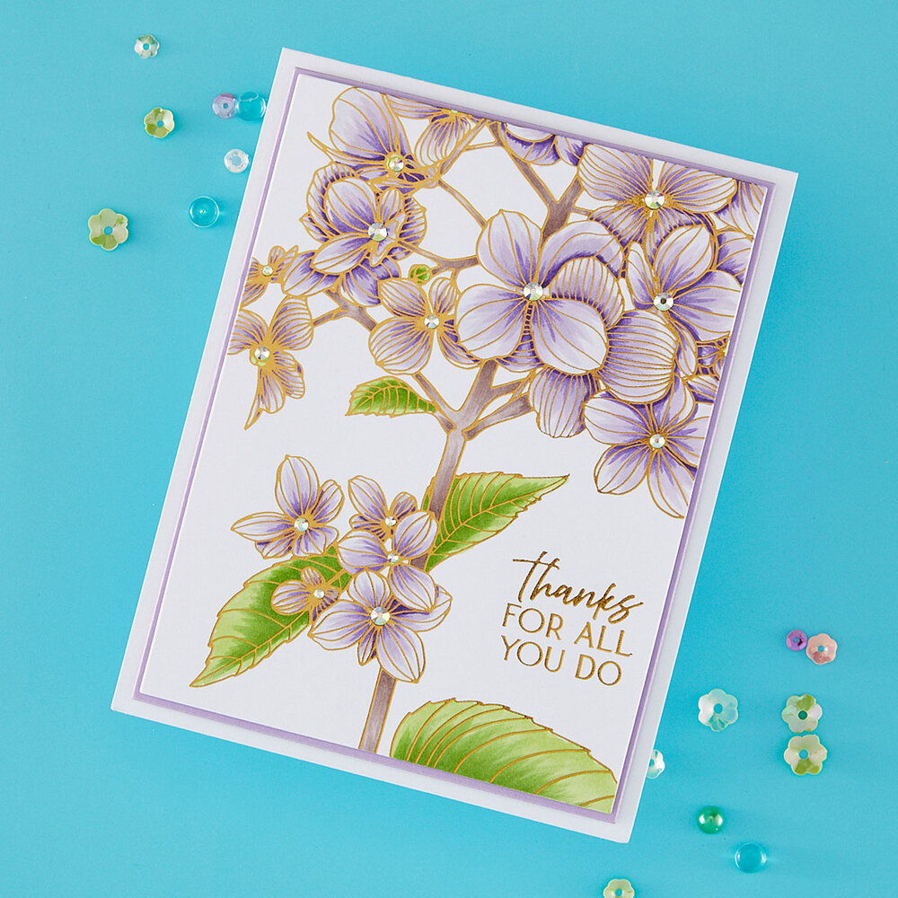 Spellbinders Create Your Way Everyday Press + Foil Plates Thanks in Bloom (BP-351) Spellbinders Create Your Way Everyday Press + Foil Plates Thanks in Bloom (BP-351)