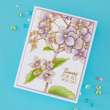 Spellbinders Create Your Way Everyday Press + Foil Plates Thanks in Bloom (BP-351) Spellbinders Create Your Way Everyday Press + Foil Plates Thanks in Bloom (BP-351)