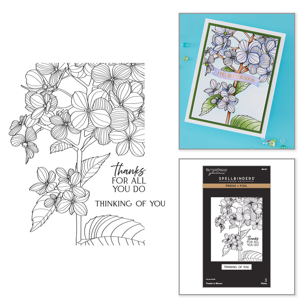 Spellbinders Create Your Way Everyday Press + Foil Plates Thanks in Bloom (BP-351) Spellbinders Create Your Way Everyday Press + Foil Plates Thanks in Bloom (BP-351)