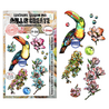 Aall and Create Hearted Nature A6 Stamp Sets Bubbly Toucan by Autour De Mwa & Co (AALL-TP-1347) Aall and Create Hearted Nature A6 Stamp Sets Bubbly Toucan by Autour De Mwa & Co (AALL-TP-1347)