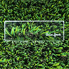 Lawn Fawn Acrylic Block 1x3 Inch Block (LF3995)