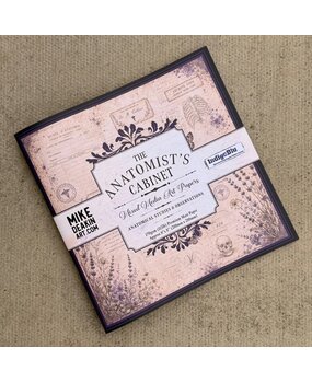 IndigoBlu The Anatomist's Cabinet 8x8 Inch Paper Book (IND1584)