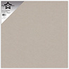 Paper Favourites Grey Chipboard 12x12 Inch 600g (5pcs) (PFSS922)