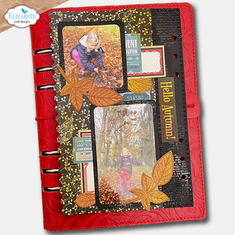 Elizabeth Craft Designs Comfy Cozy Stamp and Die Set Seasonal Words & Leaves by Everyday Memories (CSD465) Elizabeth Craft Designs Comfy Cozy Stamp and Die Set Seasonal Words & Leaves by Everyday Memories (CSD465)