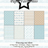 Paper Favourites Freezing Out There A5 Paper Pack (PFA241)