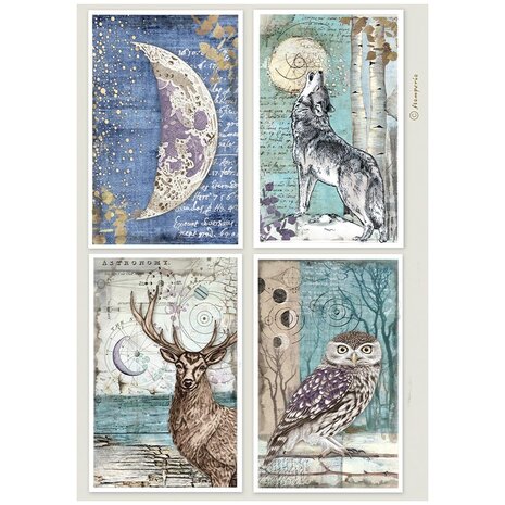 Stamperia Cosmos A4 Rice Paper 4 Cards (6pcs) by Cristina Radovan (DFSA41153)