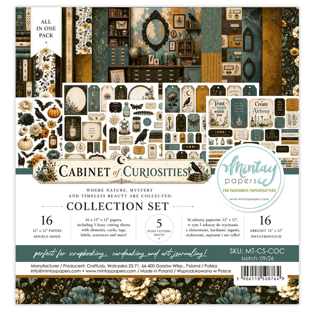 Mintay Cabinet of Curiosities 12x12 Inch Collection Set (16pcs) (MT-CS-COC) Mintay Cabinet of Curiosities 12x12 Inch Collection Set (16pcs) (MT-CS-COC)