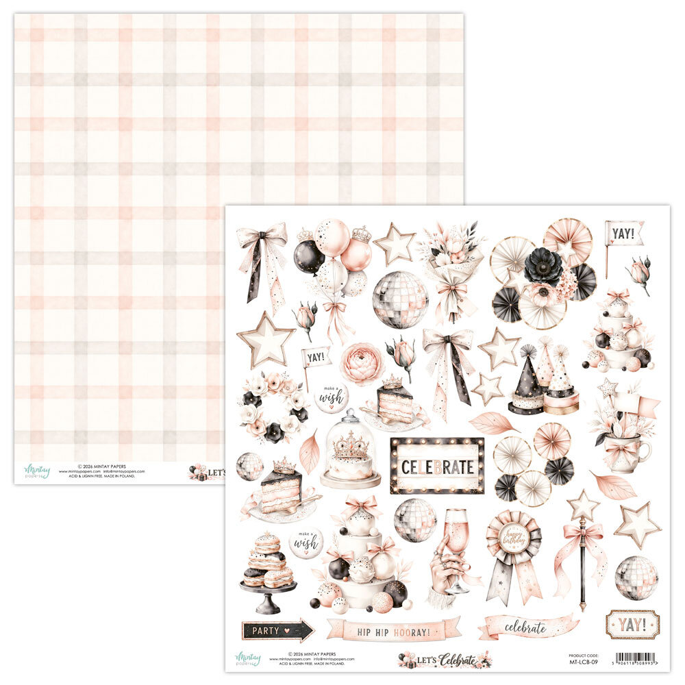 Mintay Let's Celebrate 12x12 Inch Elements Paper (MT-LCB-09)