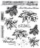 Holiday Botanical Tim Holtz Cling Stamps (CMS503) Holiday Botanical Tim Holtz Cling Stamps (CMS503)