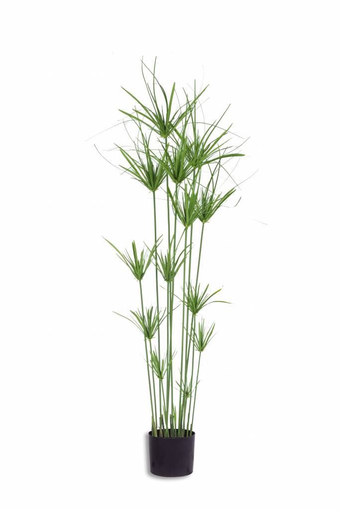 Kunst Cyperus 140cm - Easyplants