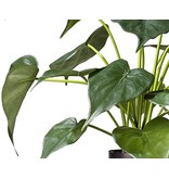 Kunstplant Alocasia 51 cm