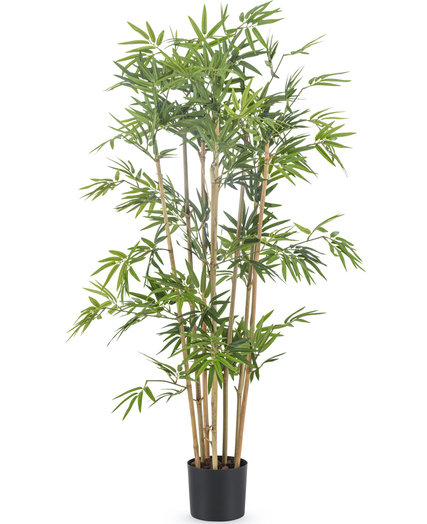 Op de loer liggen Verwacht het tweeling Kunstplant Japanse Bamboe 1.10m | Easyplants - Easyplants