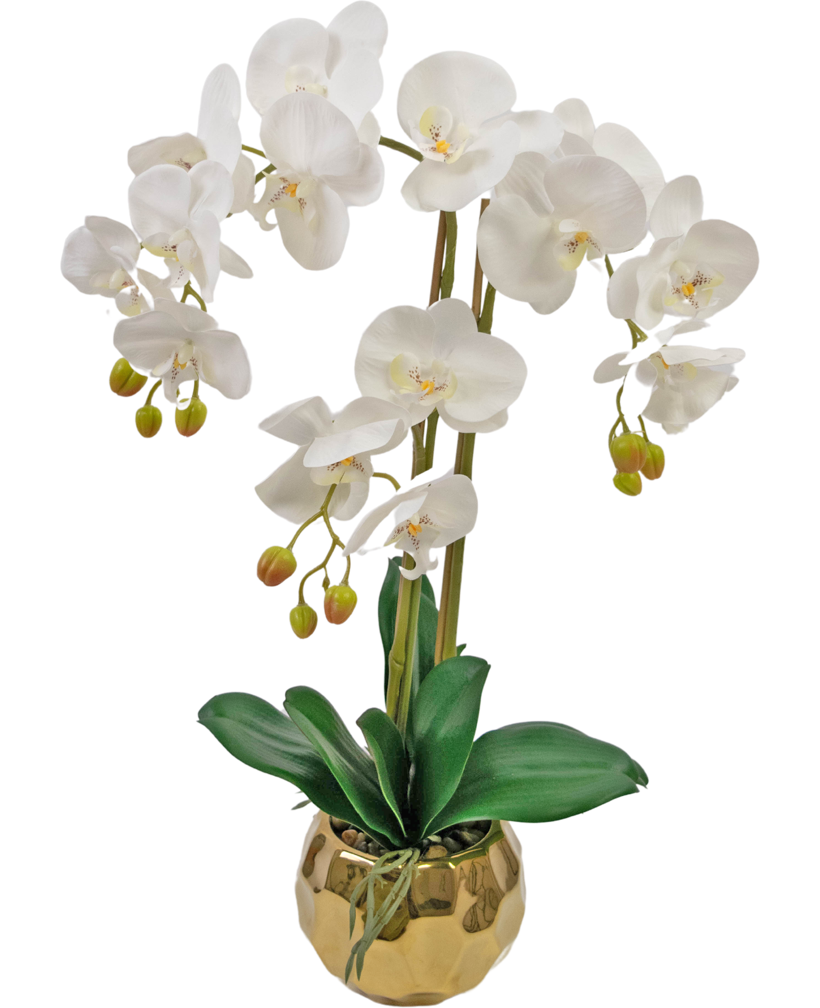 Pot orchidée Mélissa ▻ commander maintenant
