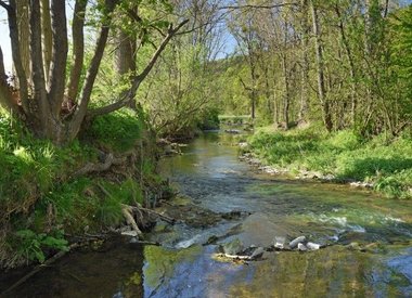 Informationsdienst Gewässerkunde/Flussgebietsmanagement