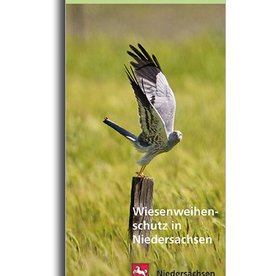 WIESENWEIHENSCHUTZ IN NIEDERSACHSEN