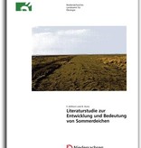 LITERATURSTUDIE ZUR ENTWICKLUNG UND BEDEUTUNG VON SOMMERDEICHEN