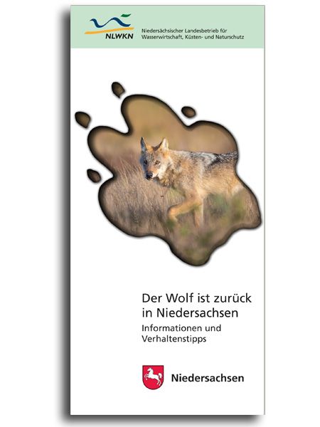 DER WOLF IST ZURÜCK IN NIEDERSACHSEN