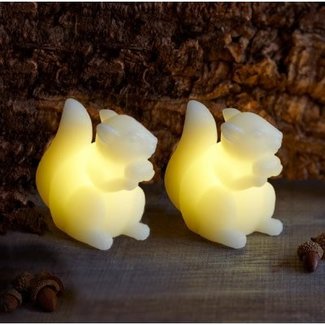 Squirrel 2 pcs set