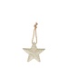 Deco Star zilver 11 cm