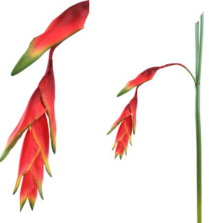 PTMD Garden bloem orange artifial 64x20x132 heliconia