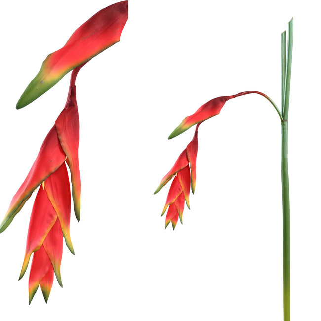 Garden bloem orange artifial 64x20x132 heliconia