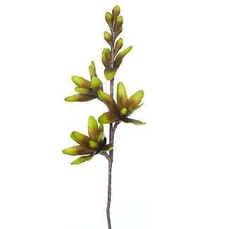 Simla Flower green  95 cm