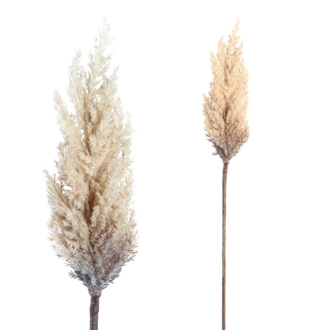 Twig plant light brown reed spray