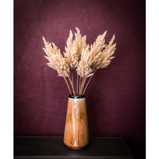 Twig plant light brown reed spray