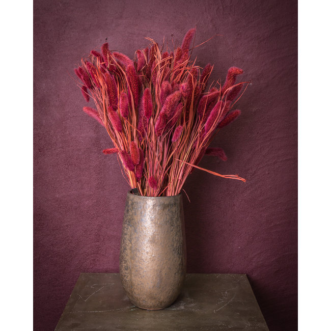 dried leaves pink dwarf foutain grass