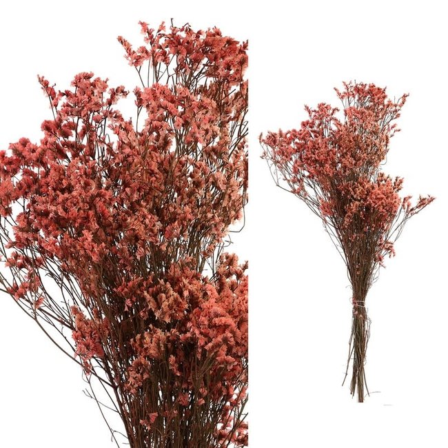 dried leaves pink natural grass bush