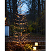 Sirius Isaac tree H2,10 m