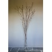 JF The Reborn Home vaas flute XXL 100 cm