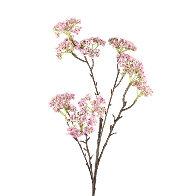 branche de boule de neige rose