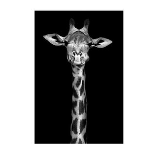 Riverdale wandfoto Giraffe zwart 90x60