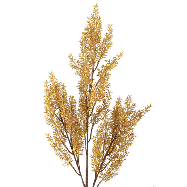 leaves plant mustard heather spray