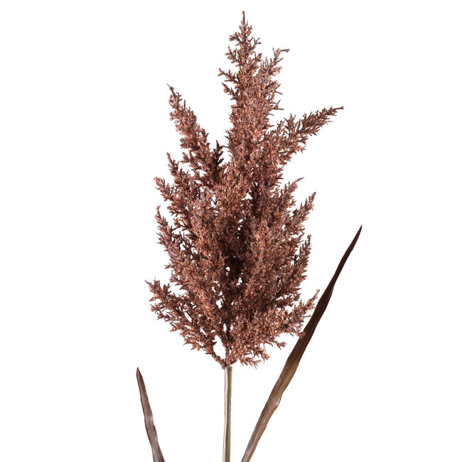 twig plant purple dried reed spray