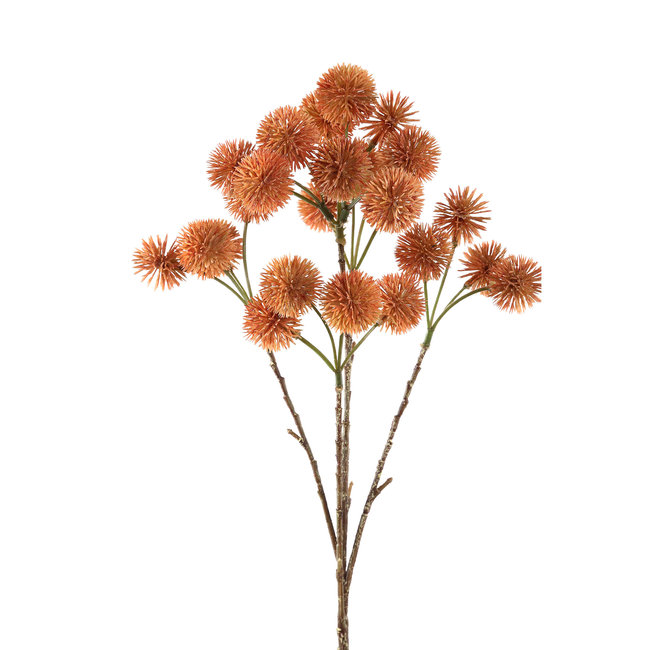 twig plant yellow chestnut