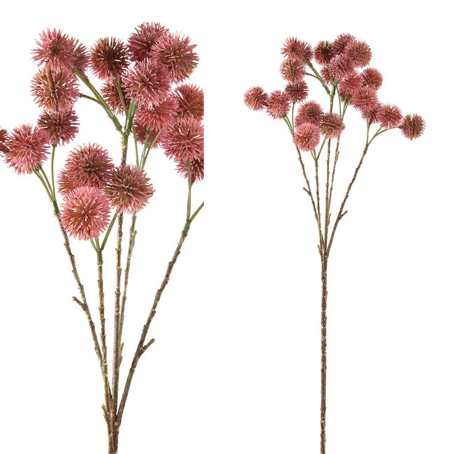 Twig plant pink chestnut plant spray