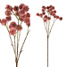 PTMD Twig plant pink chestnut plant spray