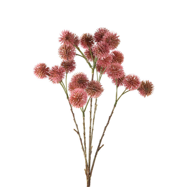 Twig plant pink chestnut plant spray