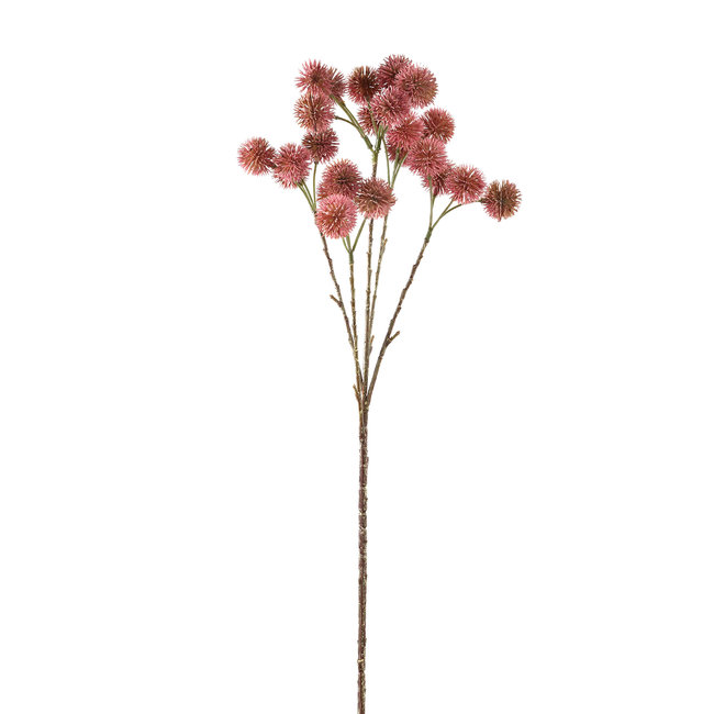Twig plant pink chestnut plant spray