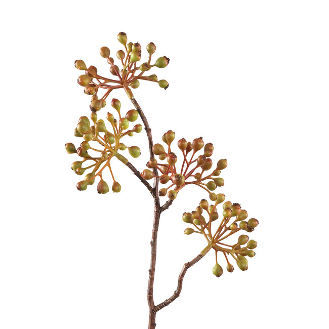 berry plant orange berry spray