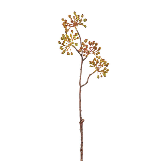 berry plant orange berry spray