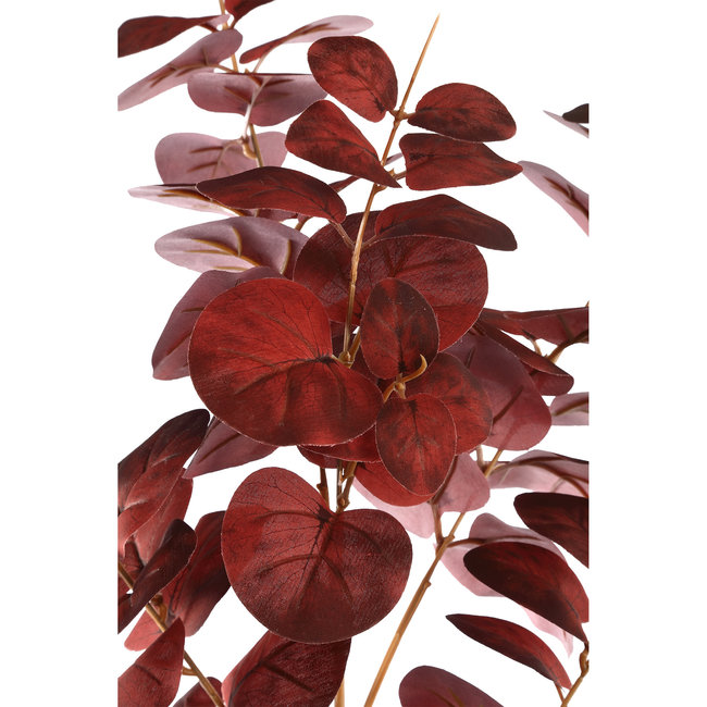 leavesplant burgundy eucalyptus spray