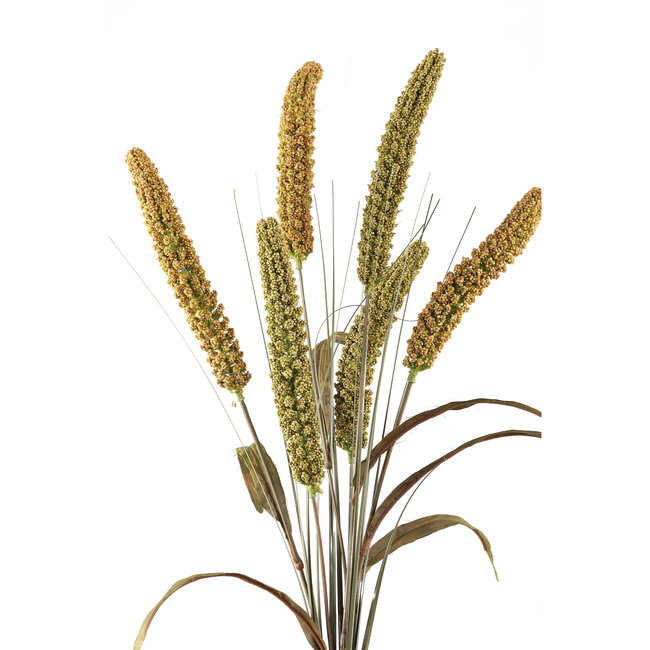 twig plant brown green cattail