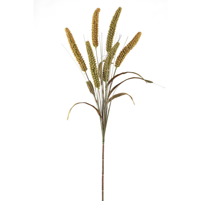 twig plant brown green cattail