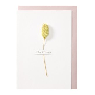 Papette PAPETTE greeting card + enveloppe Fleur Hello little one