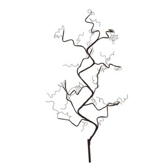 Sirius Rasmine branch