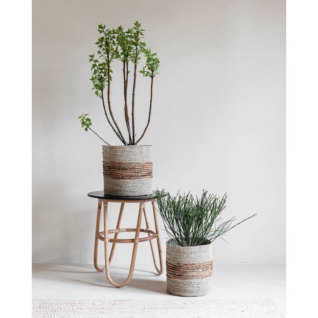 mand zeegras dia 26XH30