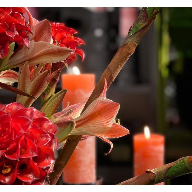 cylinderkaars dia 8.6x20  terracotta (83)